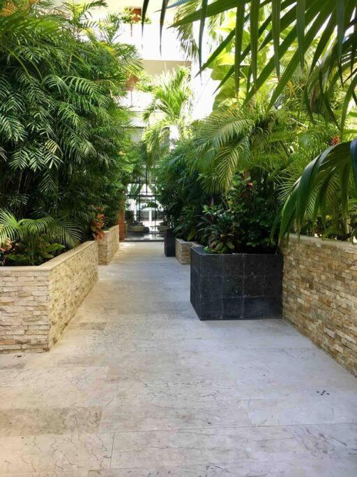 Your Exclusive Studio In The City - Top Amenities & Services For Free!! 普拉亚卡门 外观 照片