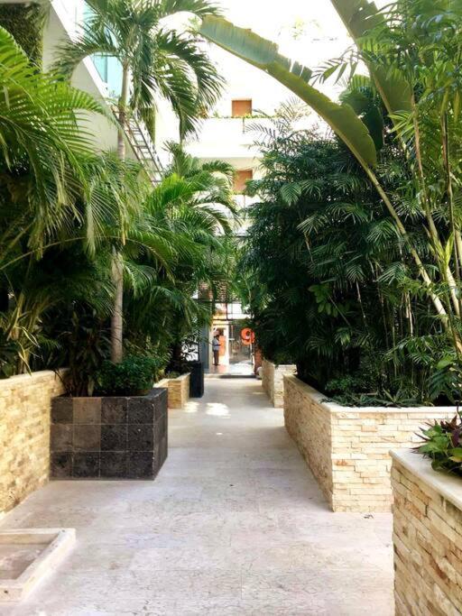 Your Exclusive Studio In The City - Top Amenities & Services For Free!! 普拉亚卡门 外观 照片