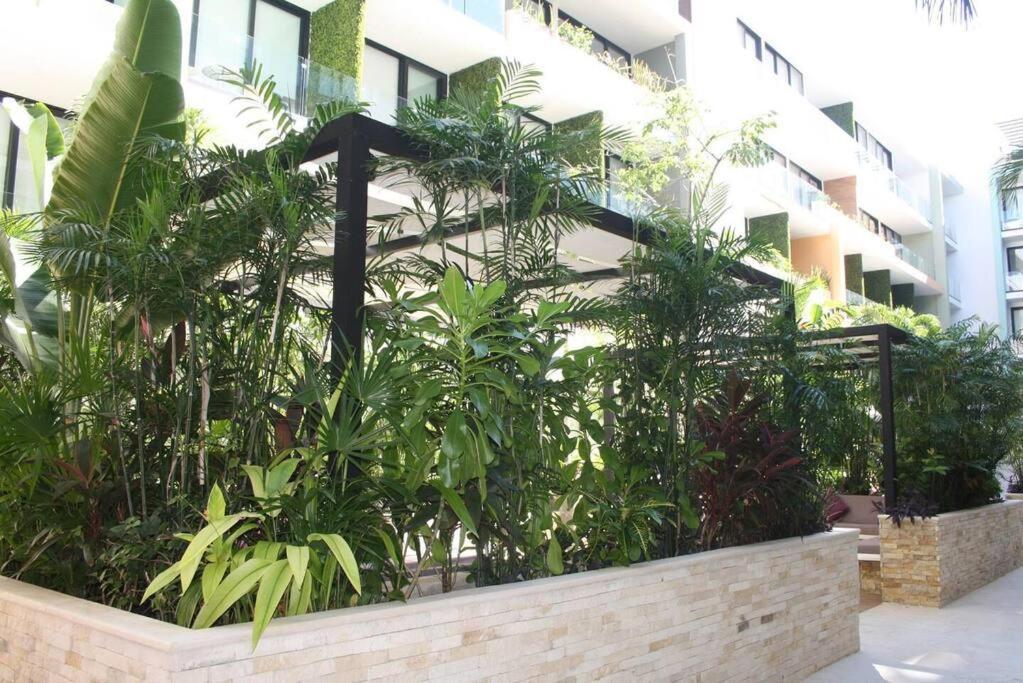 Your Exclusive Studio In The City - Top Amenities & Services For Free!! 普拉亚卡门 外观 照片